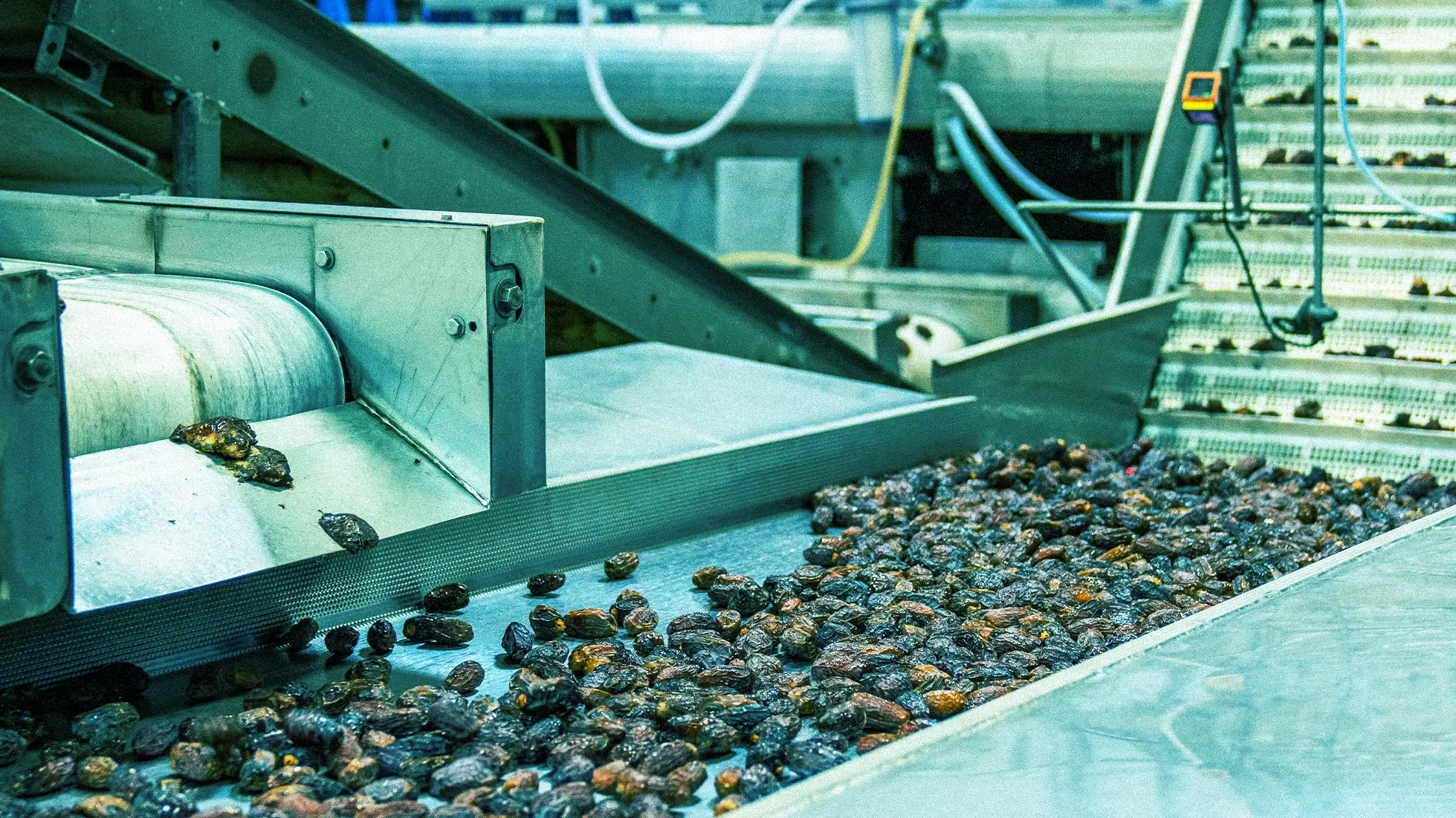 Jak wybrać odpowiedni przenośnik taśmowy do Twojej linii produkcyjnej?